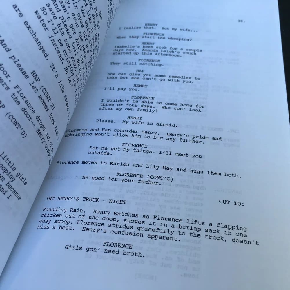 MUDBOUND For Your Consideration FYC Screenplay 2017 Script Book FREE SHIPPING - Image 3