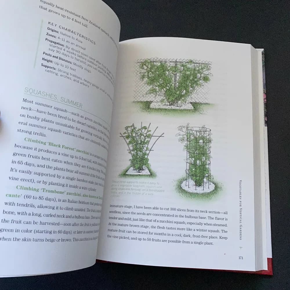 Vertical Gardening Grow up, Not Out, for More Vegetables and Flowers - VERY GOOD - Image 6