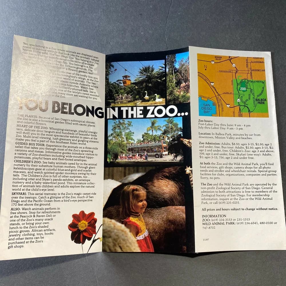 San Diego Zoo Brochure  California Koala Bear Wild Animal Park Vintage - Image 3