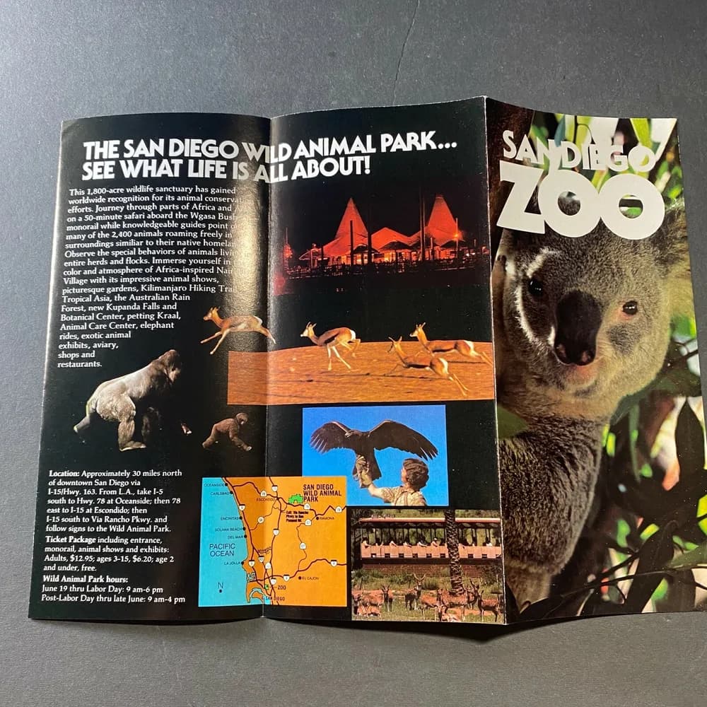 San Diego Zoo Brochure  California Koala Bear Wild Animal Park Vintage - Image 4