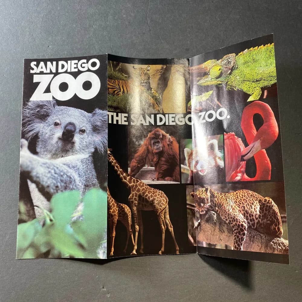 San Diego Zoo Brochure  California Koala Bear Wild Animal Park Vintage - Image 3