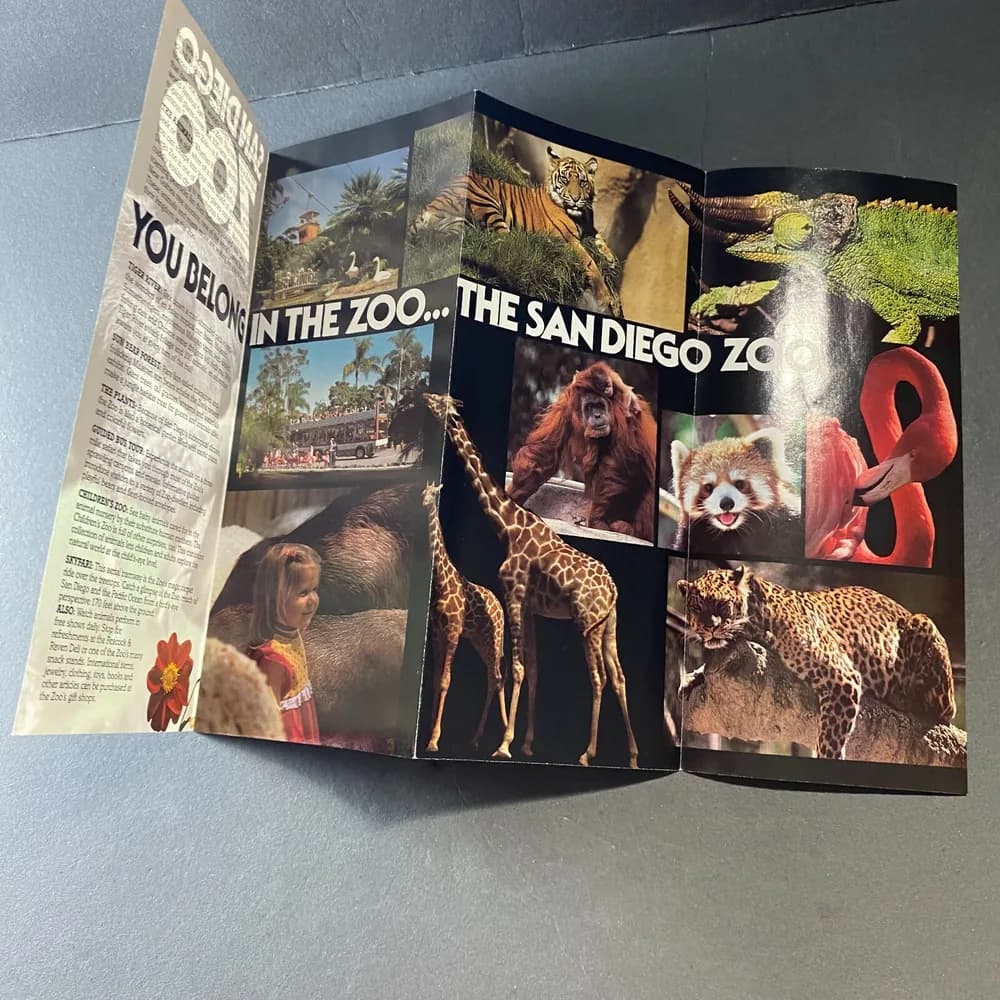San Diego Zoo Brochure  California Koala Bear Wild Animal Park Vintage - Image 5