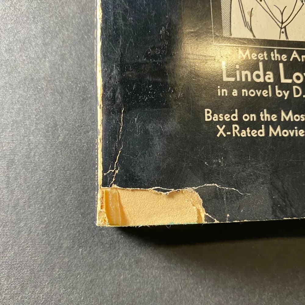 Deep Throat Linda Linda Lovelace Vintage Book D. M. Perkins 1973 Paperback Copy - Image 2