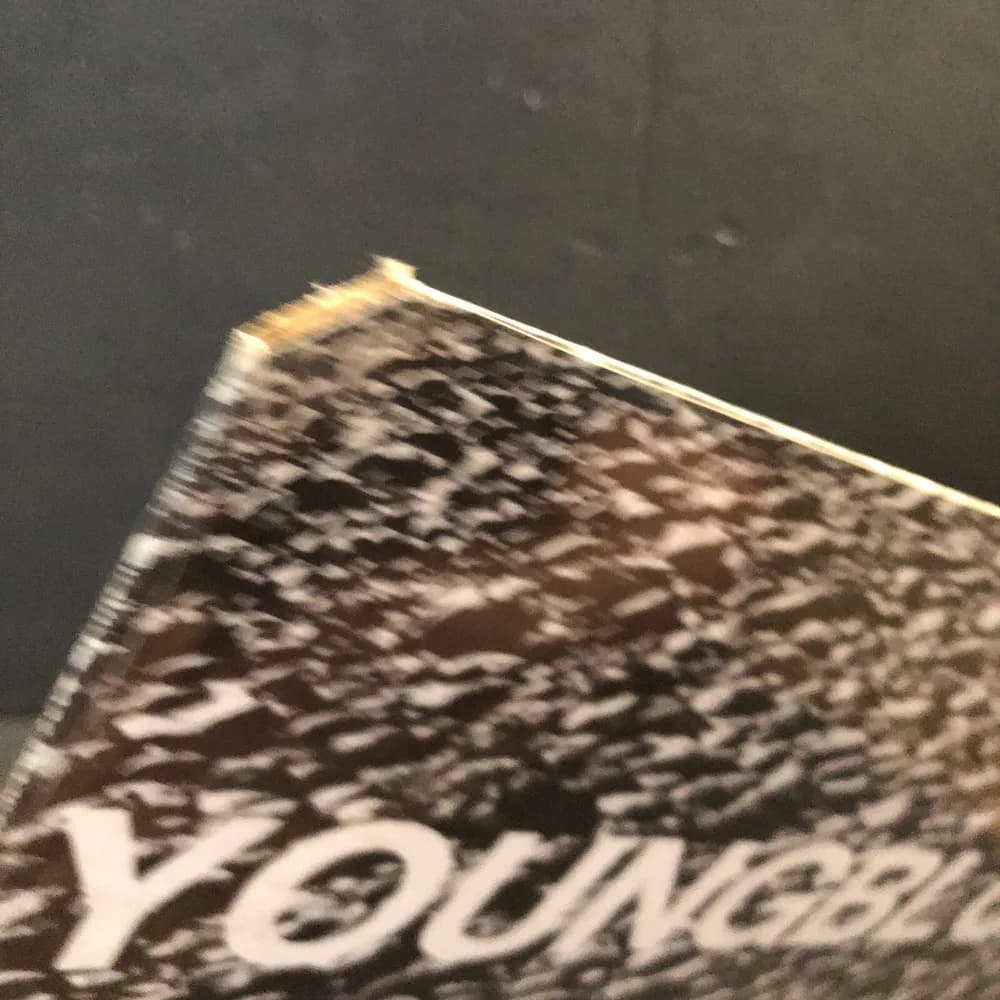 SEALED YOUNGBLOODS - ROCK FESTIVAL - WWS 1878, ROCK, VINYL  PLEASE READ! - Image 2