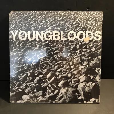 SEALED YOUNGBLOODS - ROCK FESTIVAL - WWS 1878, ROCK, VINYL  PLEASE READ!