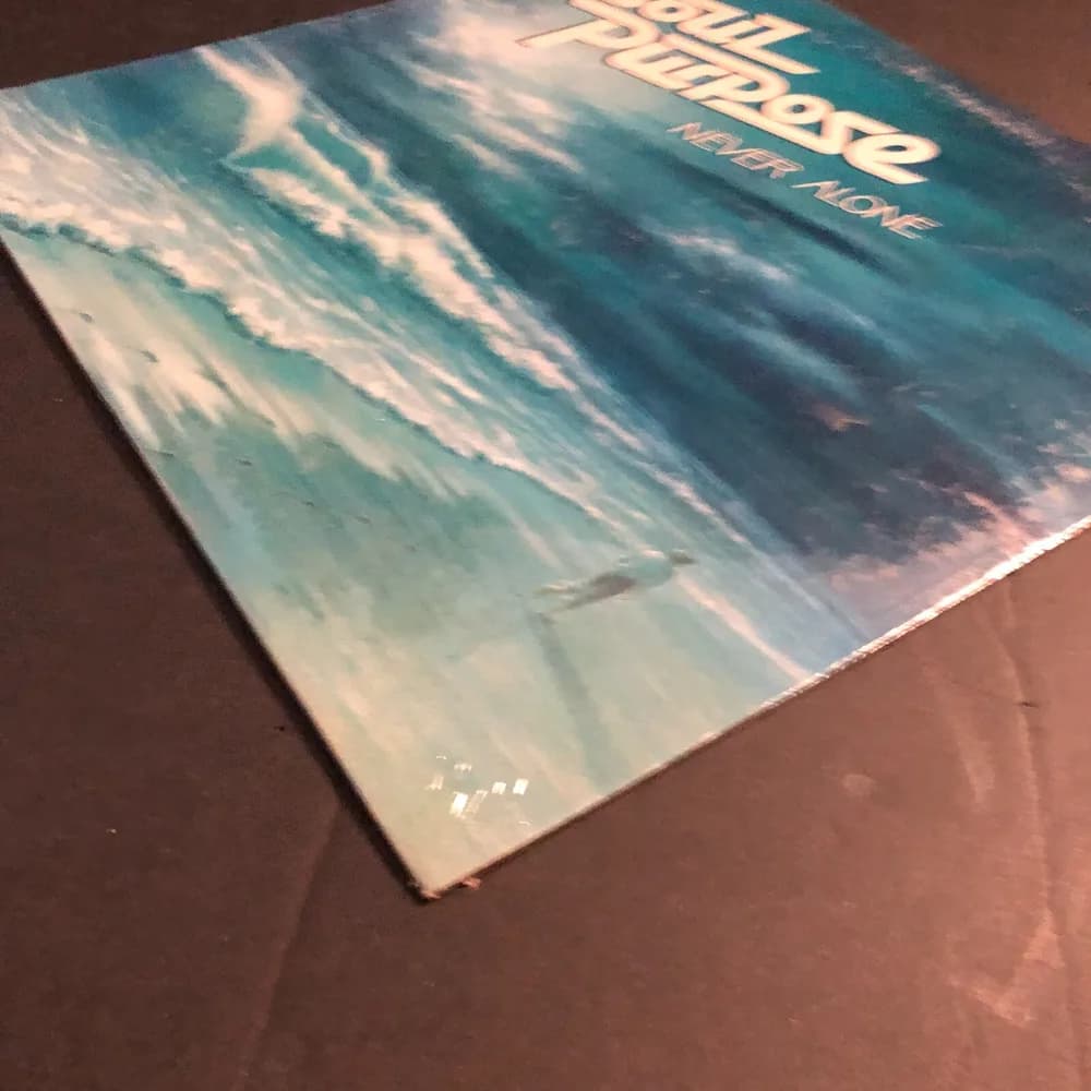 SEALED SOUL PURPOSE Never Alone LP 70s Private San Diego Xian Folk Rock w/ Moog - Image 2