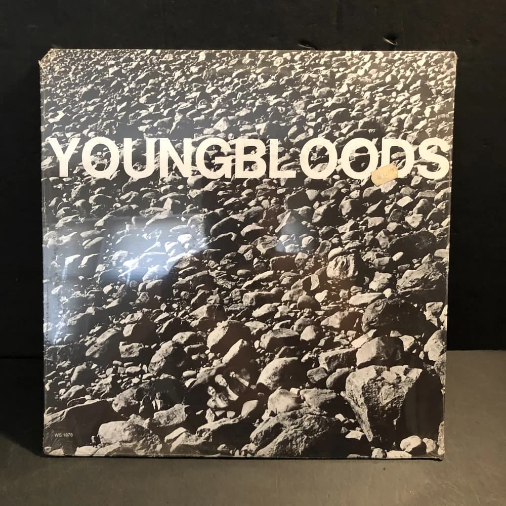 SEALED YOUNGBLOODS - ROCK FESTIVAL - WWS 1878, ROCK, VINYL PLEASE READ!